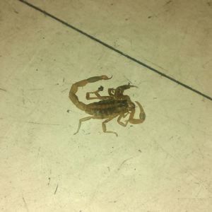 Meet your Posher, Trent